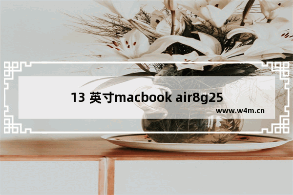 13 英寸macbook air8g256够用吗