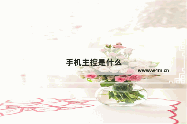 手机主控是什么