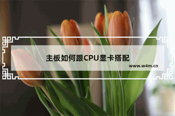 主板如何跟CPU显卡搭配