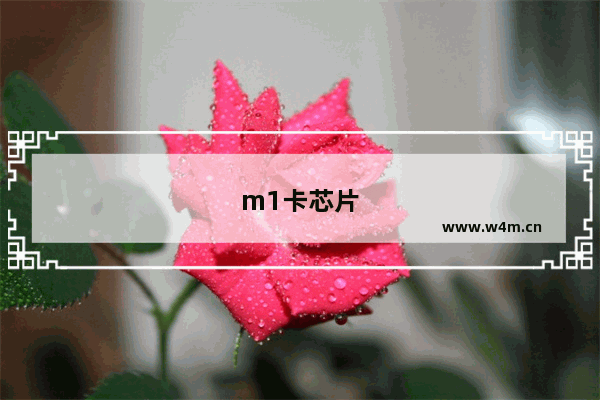 m1卡芯片