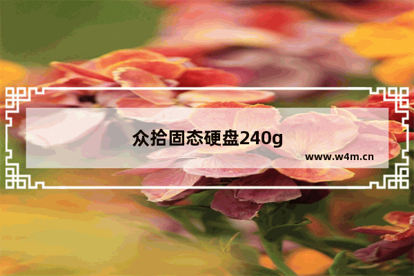 众拾固态硬盘240g