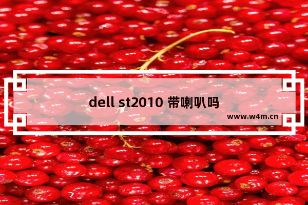 dell st2010 带喇叭吗