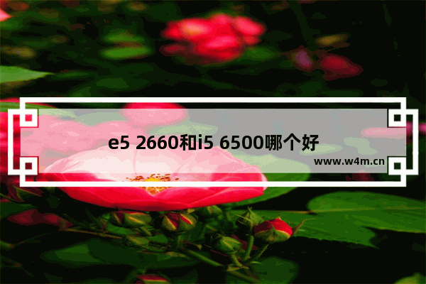 e5 2660和i5 6500哪个好