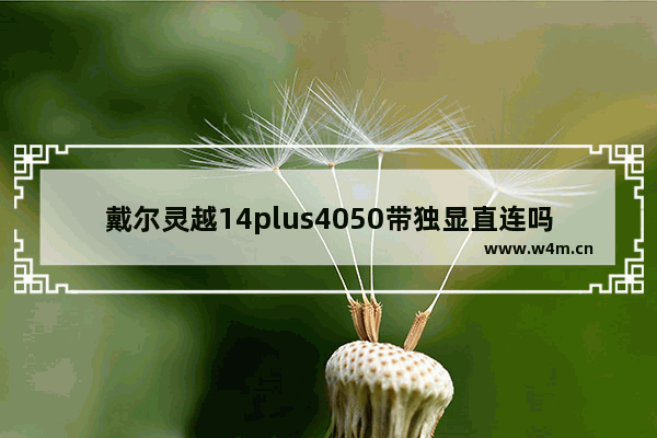 戴尔灵越14plus4050带独显直连吗