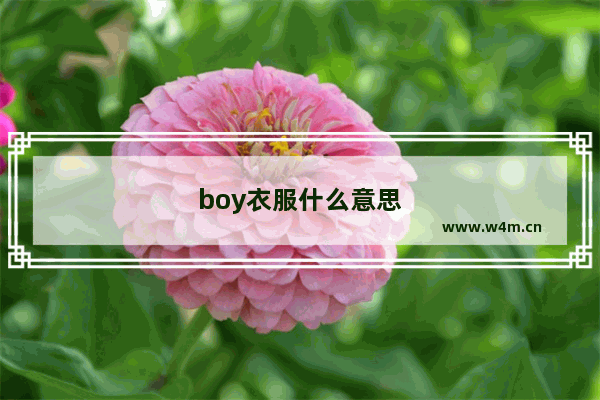 boy衣服什么意思