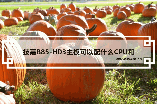 技嘉B85-HD3主板可以配什么CPU和显卡