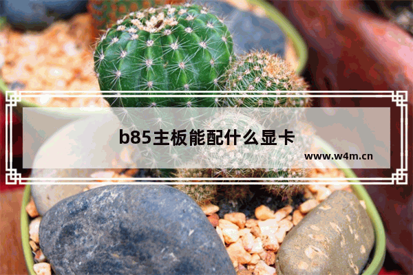 b85主板能配什么显卡