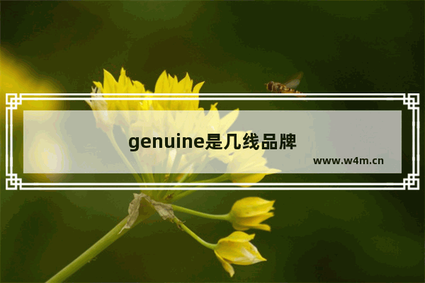 genuine是几线品牌