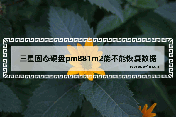 三星固态硬盘pm881m2能不能恢复数据