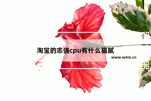 淘宝的志强cpu有什么猫腻