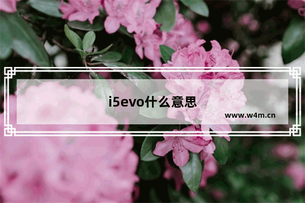 i5evo什么意思