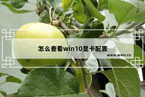 怎么查看win10显卡配置