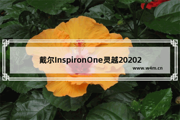 戴尔InspironOne灵越202020可以换显卡吗