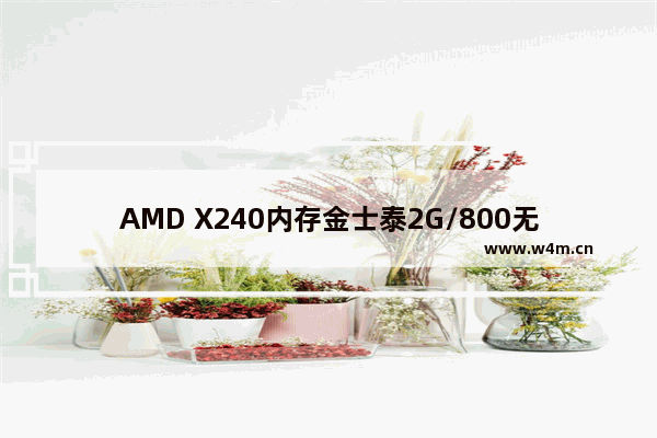 AMD X240内存金士泰2G/800无硬盘 华硕M2N68 PLUS主板 华硕EAHG4670/256M显卡 机箱电源 大概多钱能