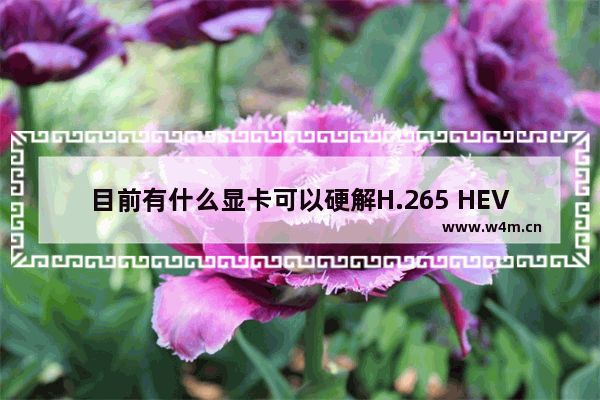 目前有什么显卡可以硬解H.265 HEVC标准