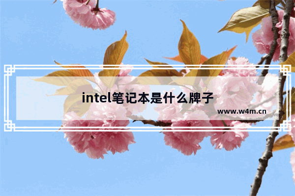 intel笔记本是什么牌子