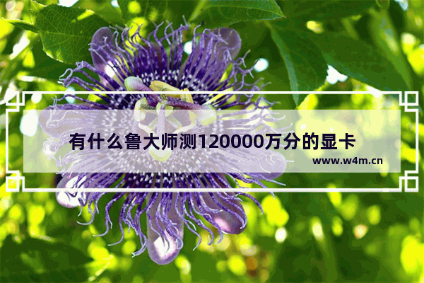 有什么鲁大师测120000万分的显卡