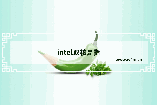 intel双核是指