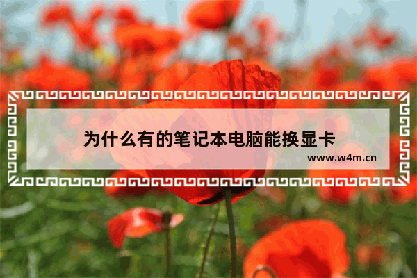 为什么有的笔记本电脑能换显卡