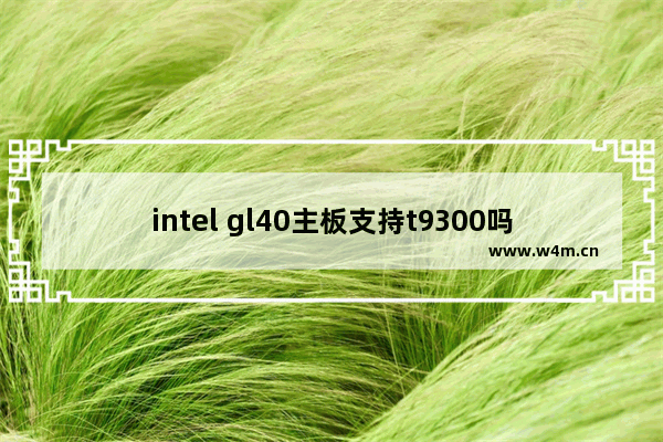 intel gl40主板支持t9300吗