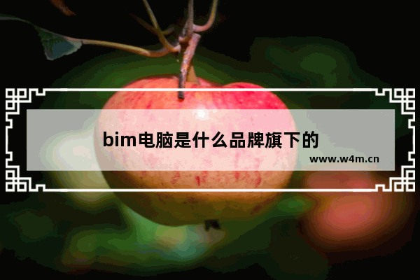 bim电脑是什么品牌旗下的