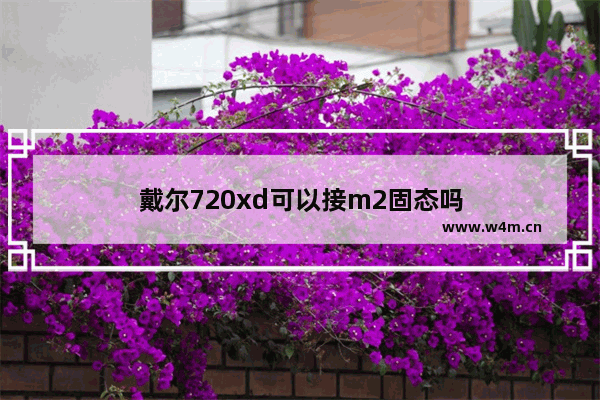 戴尔720xd可以接m2固态吗