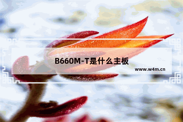 B660M-T是什么主板