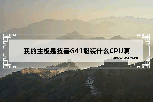 我的主板是技嘉G41能装什么CPU啊