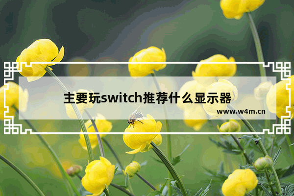 主要玩switch推荐什么显示器