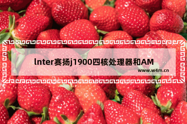 lnter赛扬j1900四核处理器和AMDE2-6110四核处理器哪个好