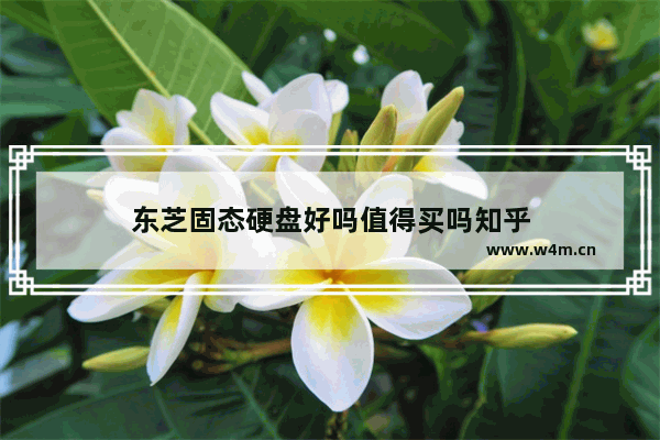 东芝固态硬盘好吗值得买吗知乎