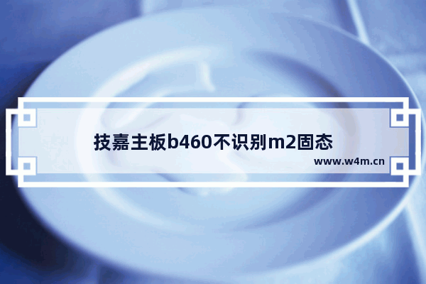 技嘉主板b460不识别m2固态