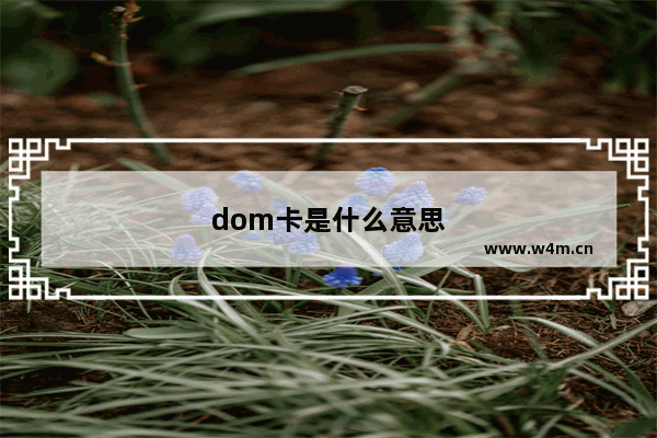 dom卡是什么意思