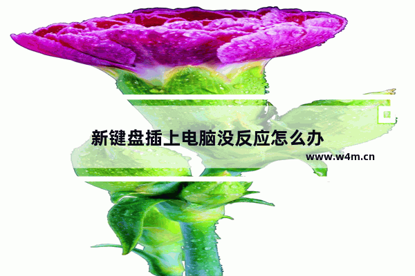 新键盘插上电脑没反应怎么办