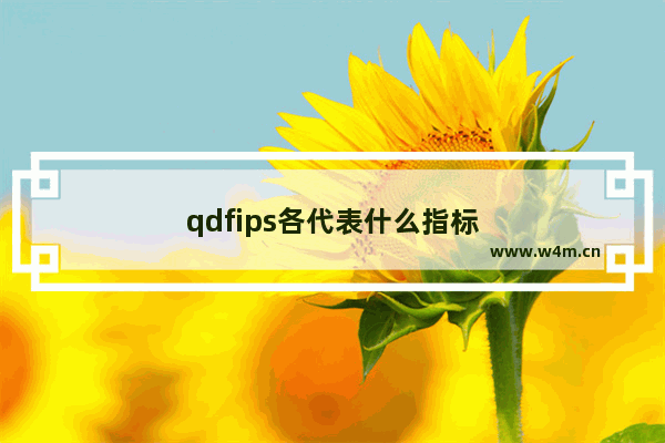 qdfips各代表什么指标