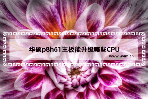 华硕p8h61主板能升级哪些CPU