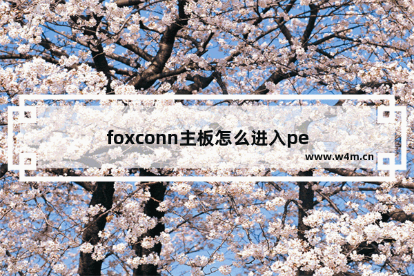 foxconn主板怎么进入pe