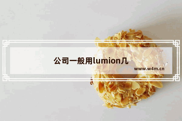 公司一般用lumion几