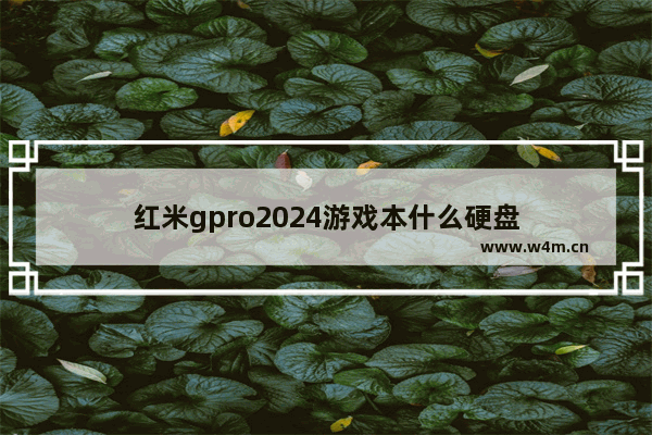 红米gpro2024游戏本什么硬盘