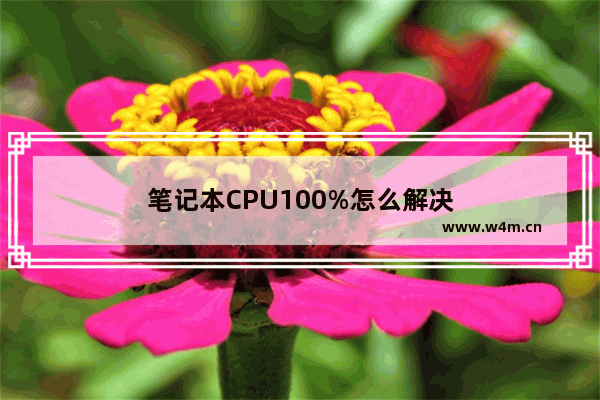 笔记本CPU100%怎么解决