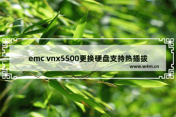 emc vnx5500更换硬盘支持热插拔吗