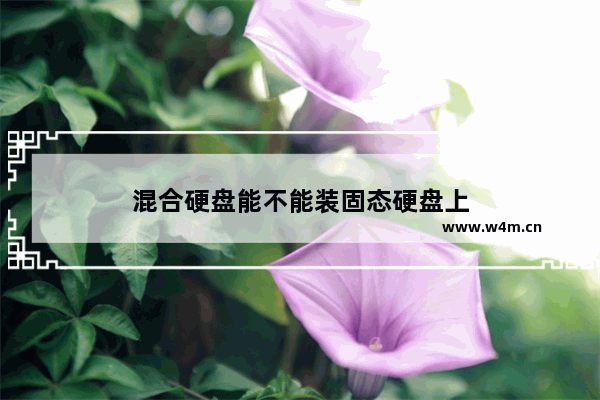 混合硬盘能不能装固态硬盘上