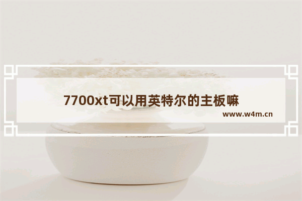 7700xt可以用英特尔的主板嘛