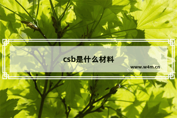 csb是什么材料