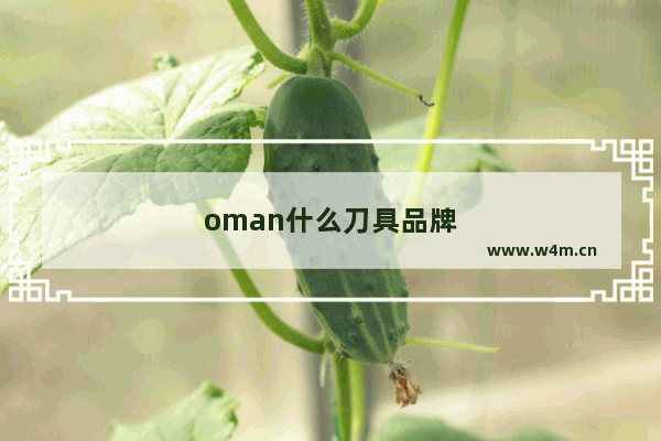 oman什么刀具品牌