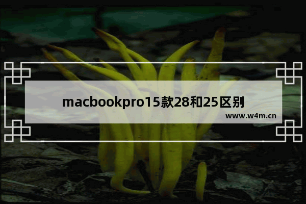 macbookpro15款28和25区别