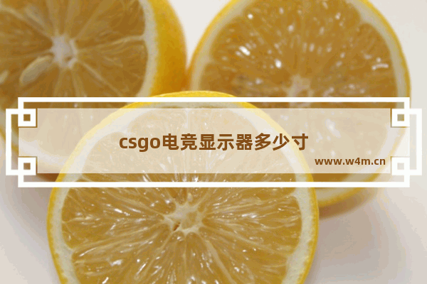 csgo电竞显示器多少寸