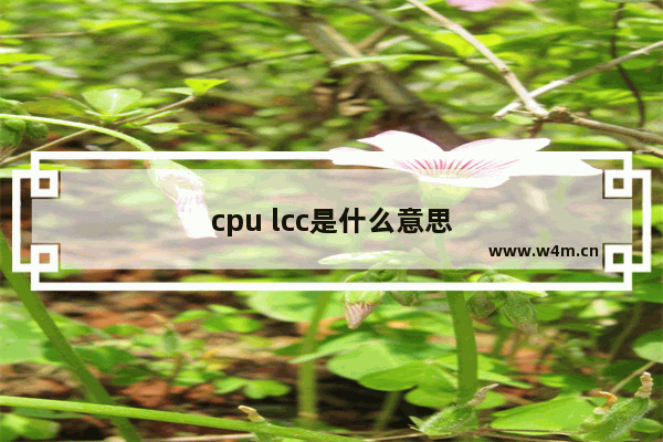 cpu lcc是什么意思