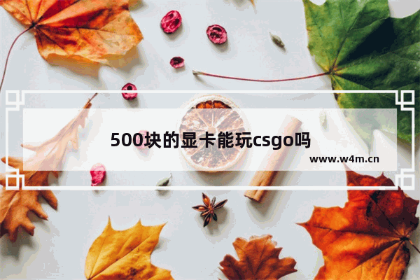 500块的显卡能玩csgo吗