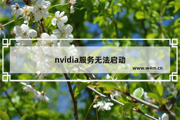 nvidia服务无法启动